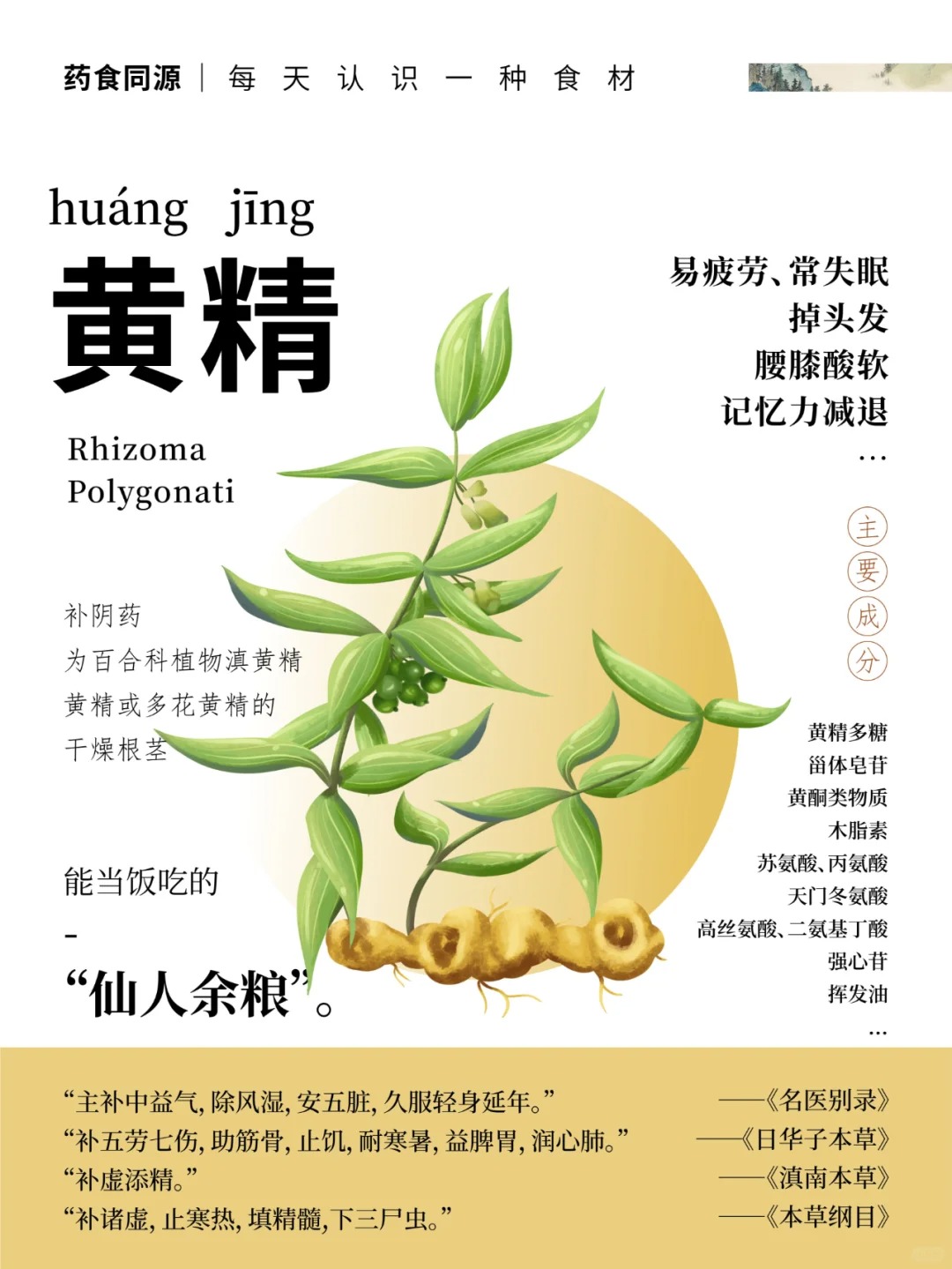🌿 黄精｜古称"仙人余粮"，自然滋养之选。📜 《本草纲目》载："补诸虚，填精髓"。贝康劲升级版 MAYOU → 科学配伍黄精+人参等，多重协同滋养💪